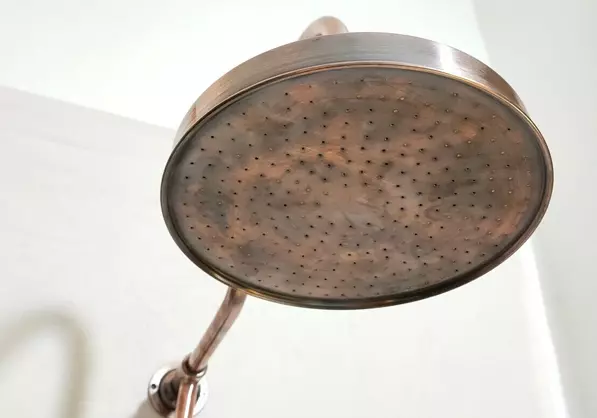 Mineral Buildup in Clogged Showerhead before showerhead cleaning